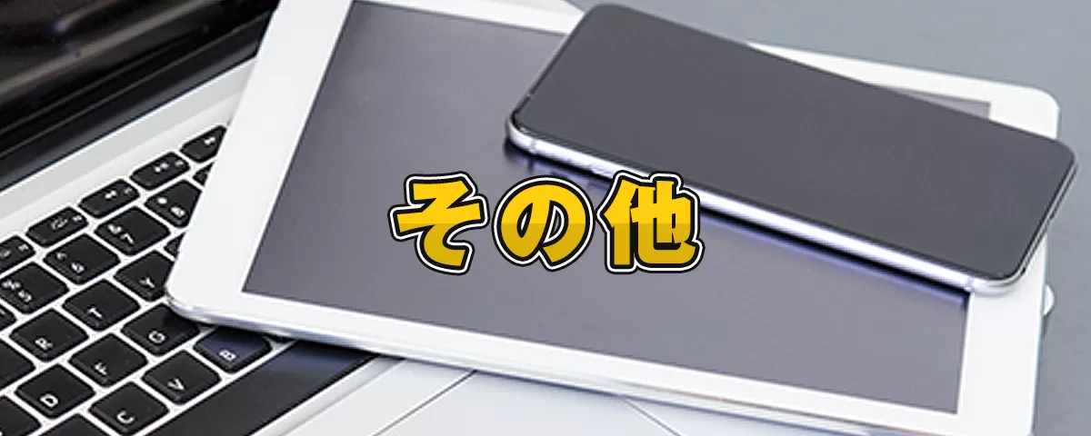 その他